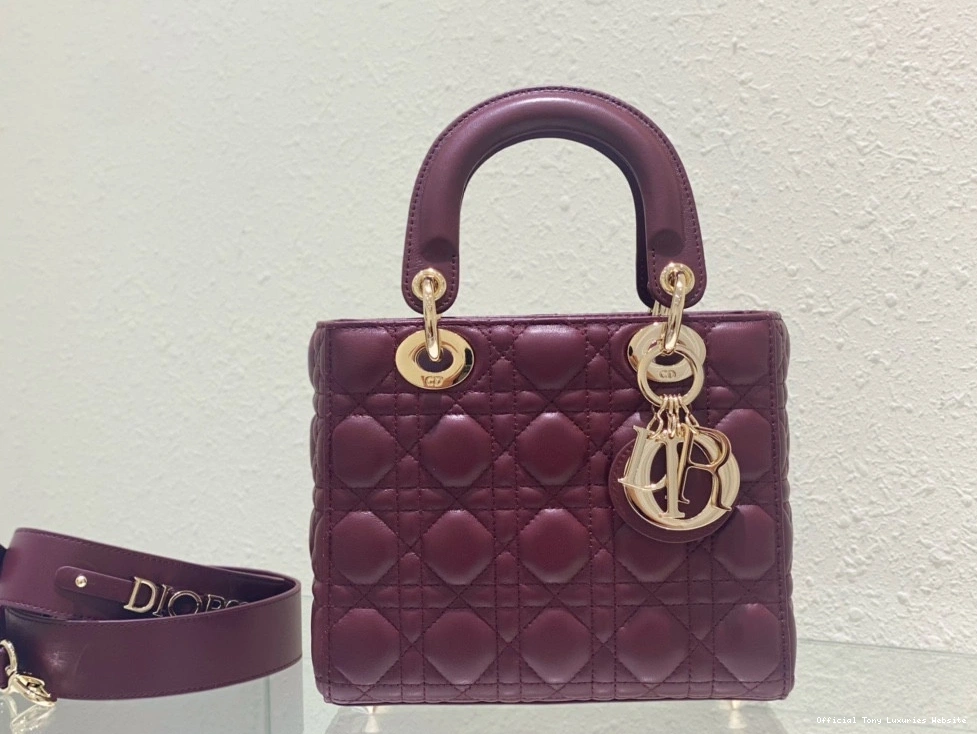 Tony Luxuries diro ABCdiro MY LADY BAG-20CM 0804